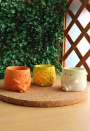 Pot Pals - Carrot, Radish, Pineapple