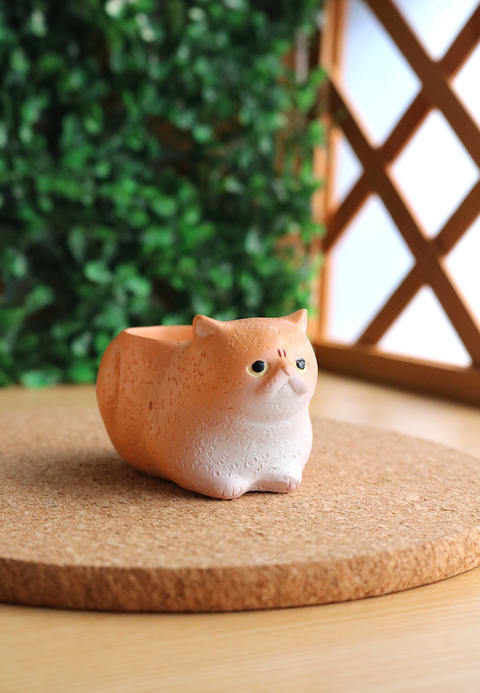 Pot Pals - Cats