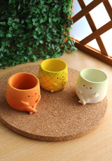 Pot Pals - Carrot, Radish, Pineapple
