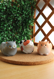 Pot Pals - Cats