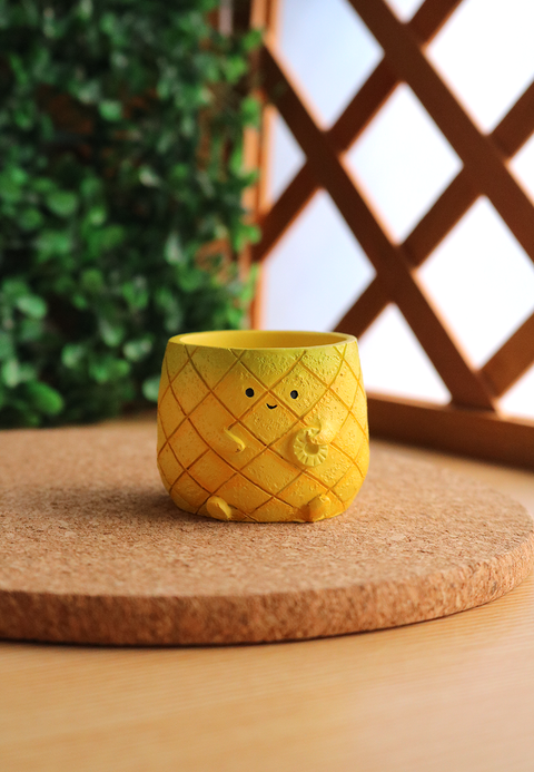 Pot Pals - Carrot, Radish, Pineapple