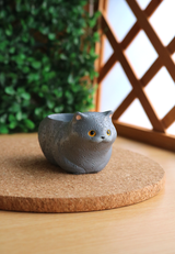 Pot Pals - Cats