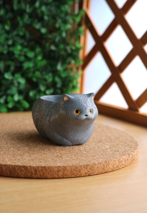 Pot Pals - Cats