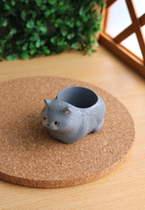 Pot Pals - Cats