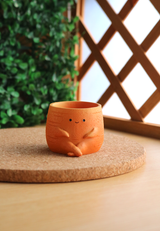 Pot Pals - Carrot, Radish, Pineapple
