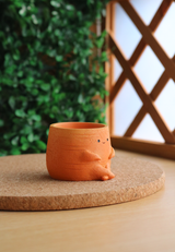 Pot Pals - Carrot, Radish, Pineapple