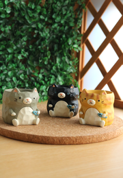 Pot Pals - CAtzzz