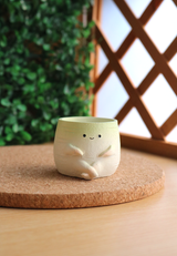 Pot Pals - Carrot, Radish, Pineapple