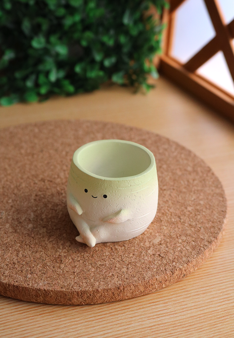 Pot Pals - Carrot, Radish, Pineapple