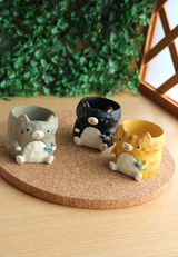 Pot Pals - CAtzzz