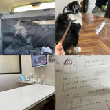 Fundraiser for Light - Donations