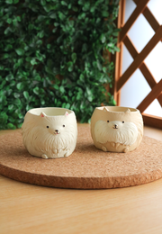 Pot Pals - Pomeranian