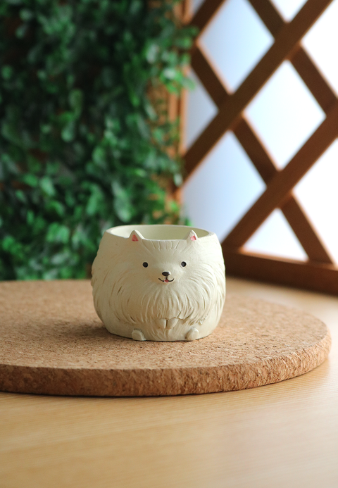 Pot Pals - Pomeranian