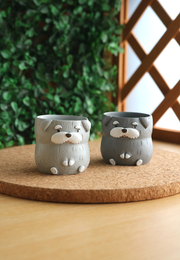 Pot Pals - Schnauzer