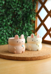 Pot Pals - Bunnies