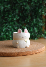 Pot Pals - Bunnies