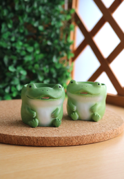 Pot Pals - Frogs