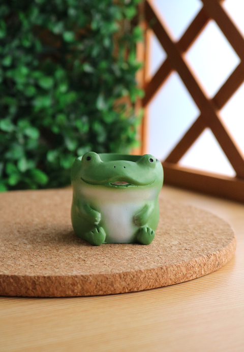 Pot Pals - Frogs