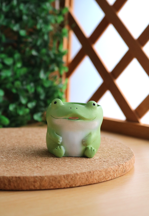 Pot Pals - Frogs