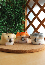 Pot Pals - Hamsters